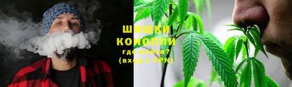 трава Няндома