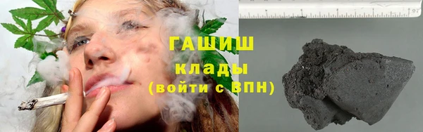 трава Няндома