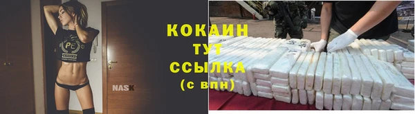 трава Няндома