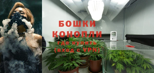 молекула духа Нязепетровск