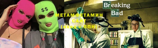 трава Няндома
