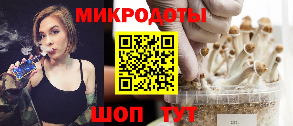 Галлюциногенные грибы Psilocybe Истра