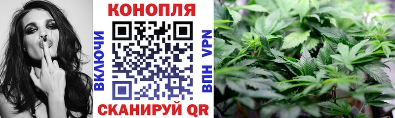 наркота  Истра  Бошки Шишки White Widow 